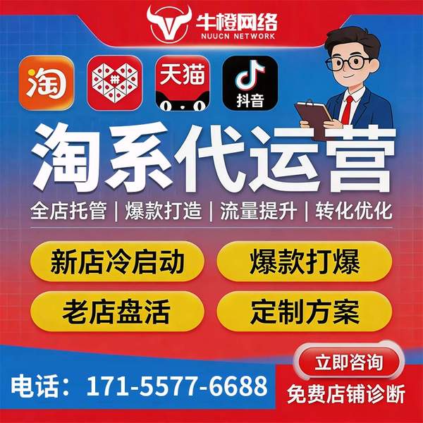 临海电商代运营