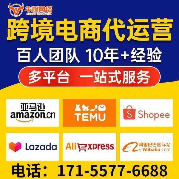 临海电商代运营