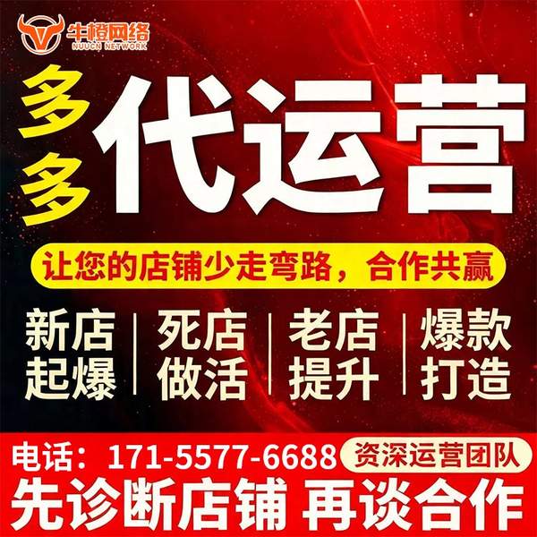 临海电商代运营