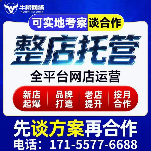临海电商代运营