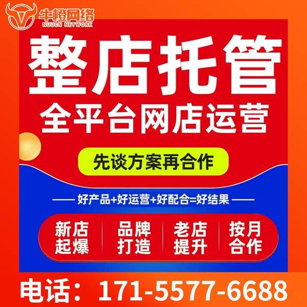 临海电商代运营