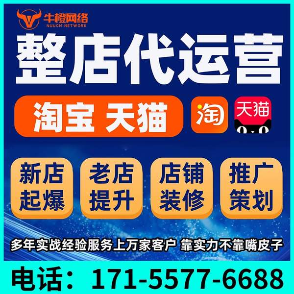 临海电商代运营