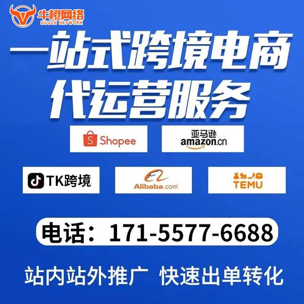 临海电商代运营