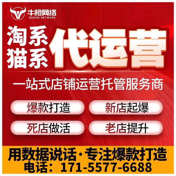 临海电商代运营